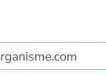 Champ de saisie d'adresse e-mail dans un formulaire, rempli avec l'adresse générique contact@mon.organisme.com pour illustrer une donnée non personnelle.