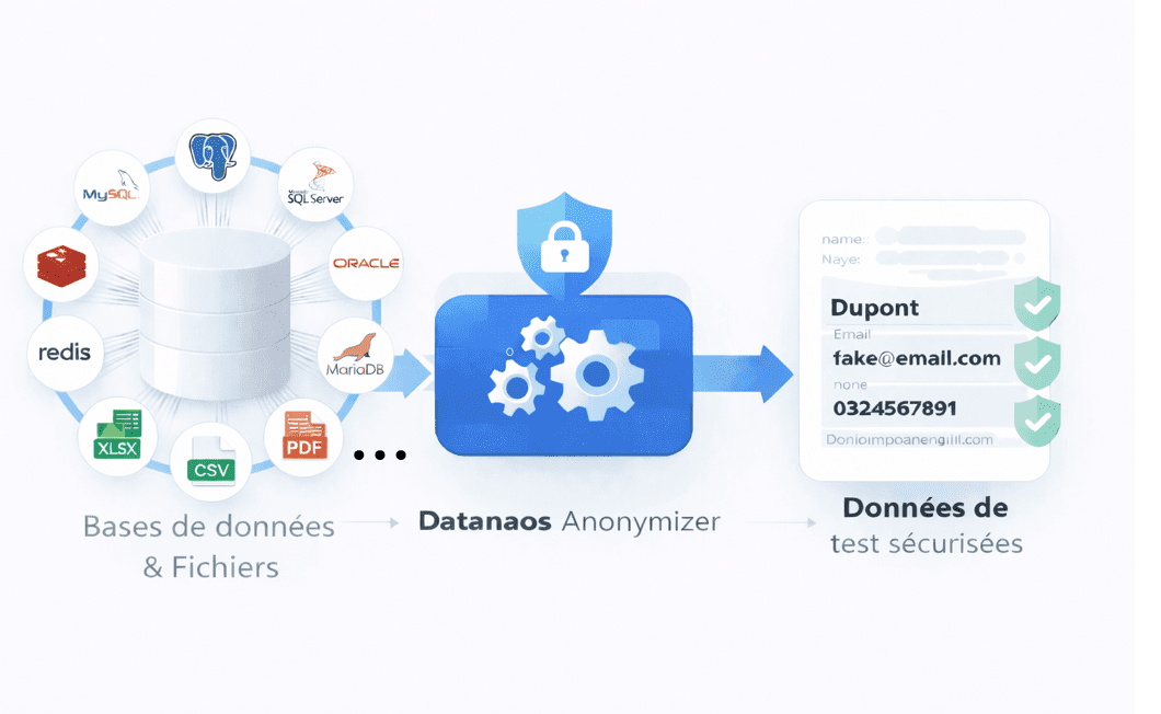 Fonctionnalités Data Anonymizer 