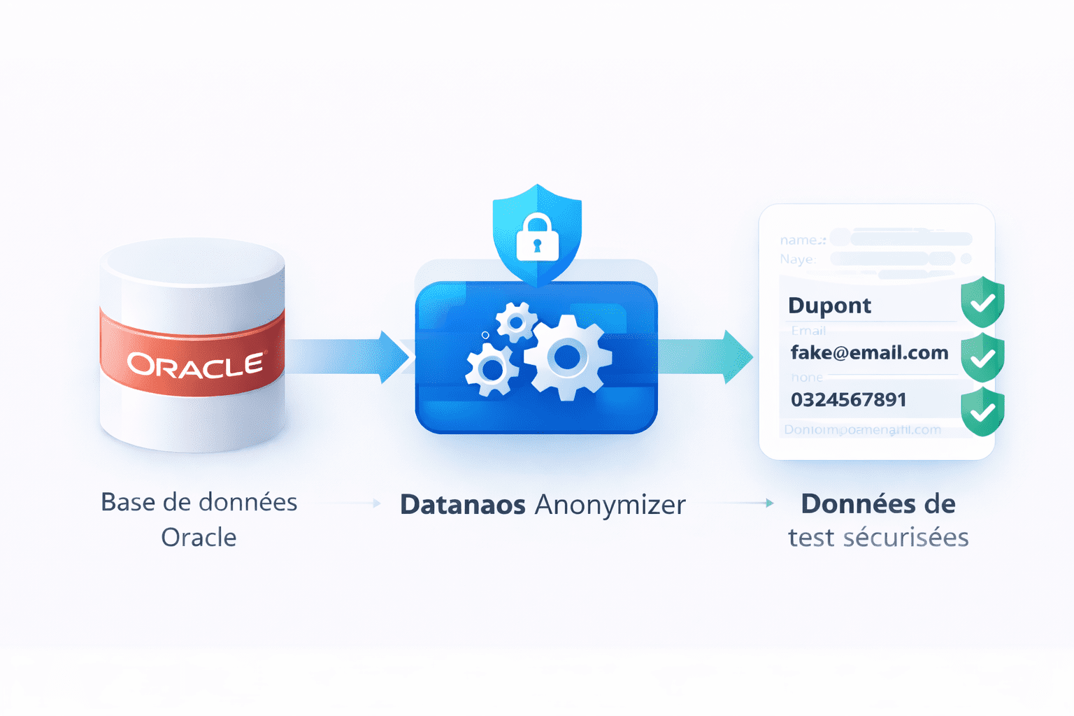 Data Anonymizer pour Oracle